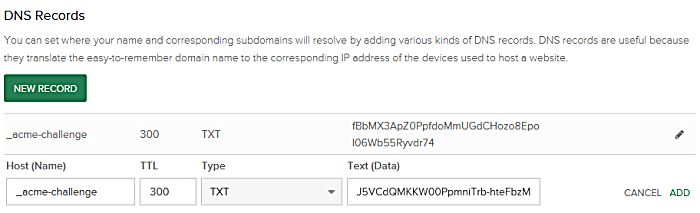 DNS TXT Record