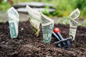 Planting and Growing Your Money