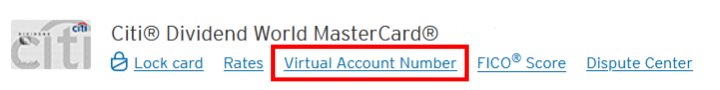 Citi Virtual Account Link